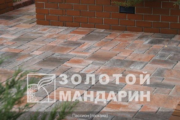 Тротуарная плитка сухопрессованная "Пассион" (h=6 см)