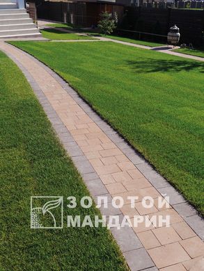 Тротуарная плитка сухопрессованная "Плац" (h=6 см) без фаски