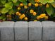 Столбик садовый бетонный сухопрессованный "Палисад" (12*12*25 см)
