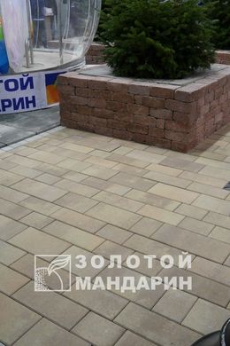 Тротуарная плитка сухопрессованная "Паттерн" (h=6 см)