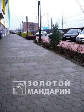 Тротуарная плитка сухопрессованная "Сота" (h=6 см)