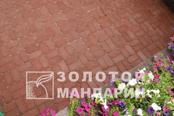 Тротуарная плитка сухопрессованная "Кирпич Антик" (h=6 см)
