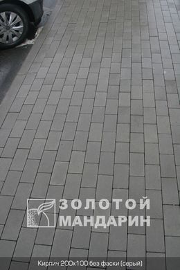 Тротуарная плитка сухопрессованная "Кирпич стандартный" (h=6 см) без фаски