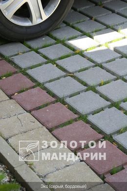 Тротуарная плитка сухопрессованная "Парковочная решетка Эко" (h=8 см)