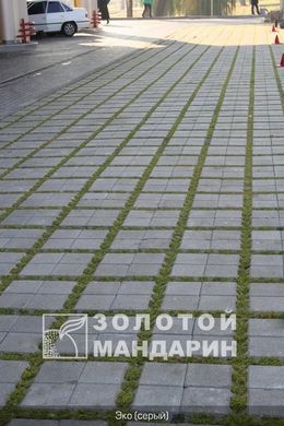Тротуарная плитка сухопрессованная "Парковочная решетка Эко" (h=8 см)