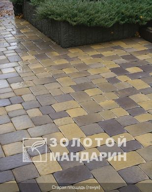 Тротуарная плитка сухопрессованная "Старая площадь" (h=6 см)