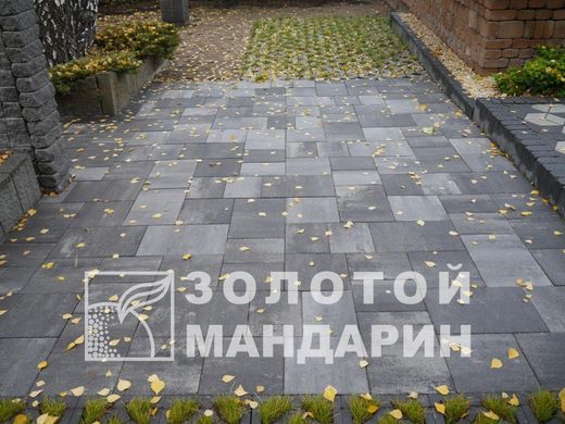 Тротуарная плитка сухопрессованная "Модерн М" (h=6 см) без фаски
