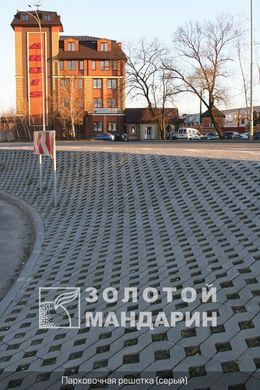 Тротуарная плитка сухопрессованная "Парковочная решетка" (h=8 см)